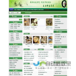 大连佰芝堂生物科技有限公司-野生灵芝网、桑黄、桦褐孔菌、松针层孔菌